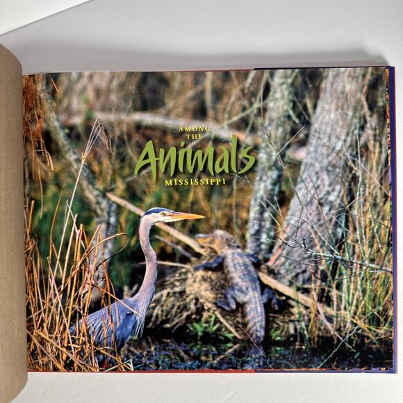 AMONG THE ANIMALS: MISSISSIPPI By Stephen Kirkpatrick & Stephen Kirkpatrick Sign - Picture 9 of 10